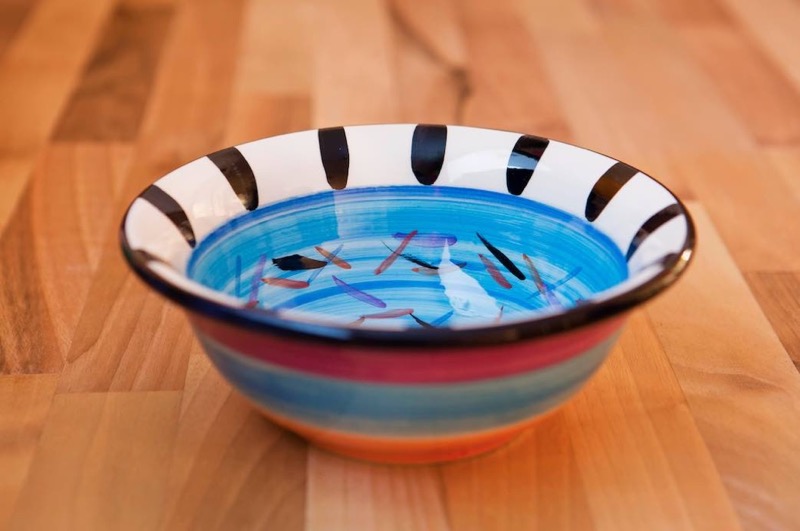 Splash Reckless Designs