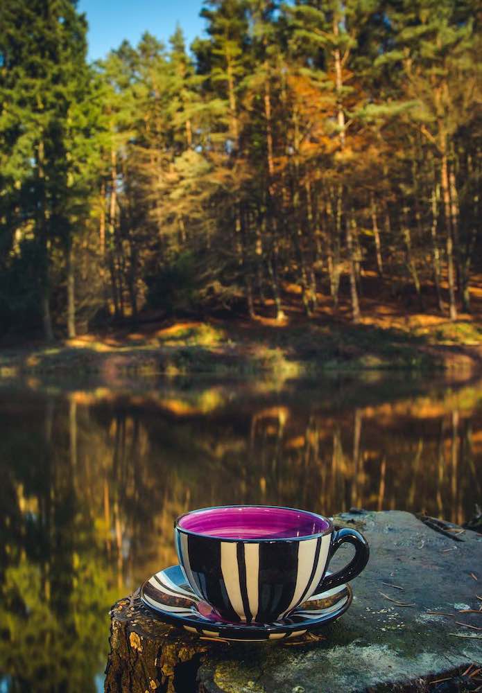 Contact Reckless Designs